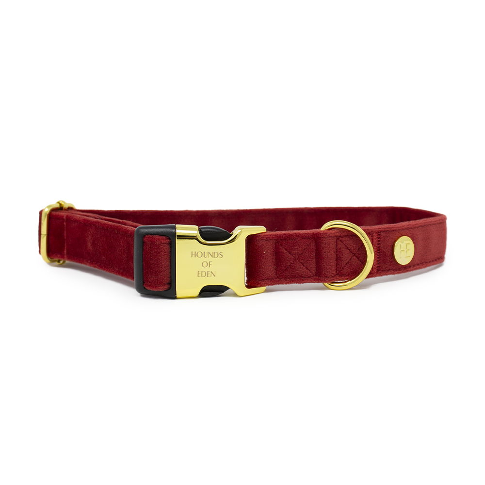 Ruby Red Velvet Harness