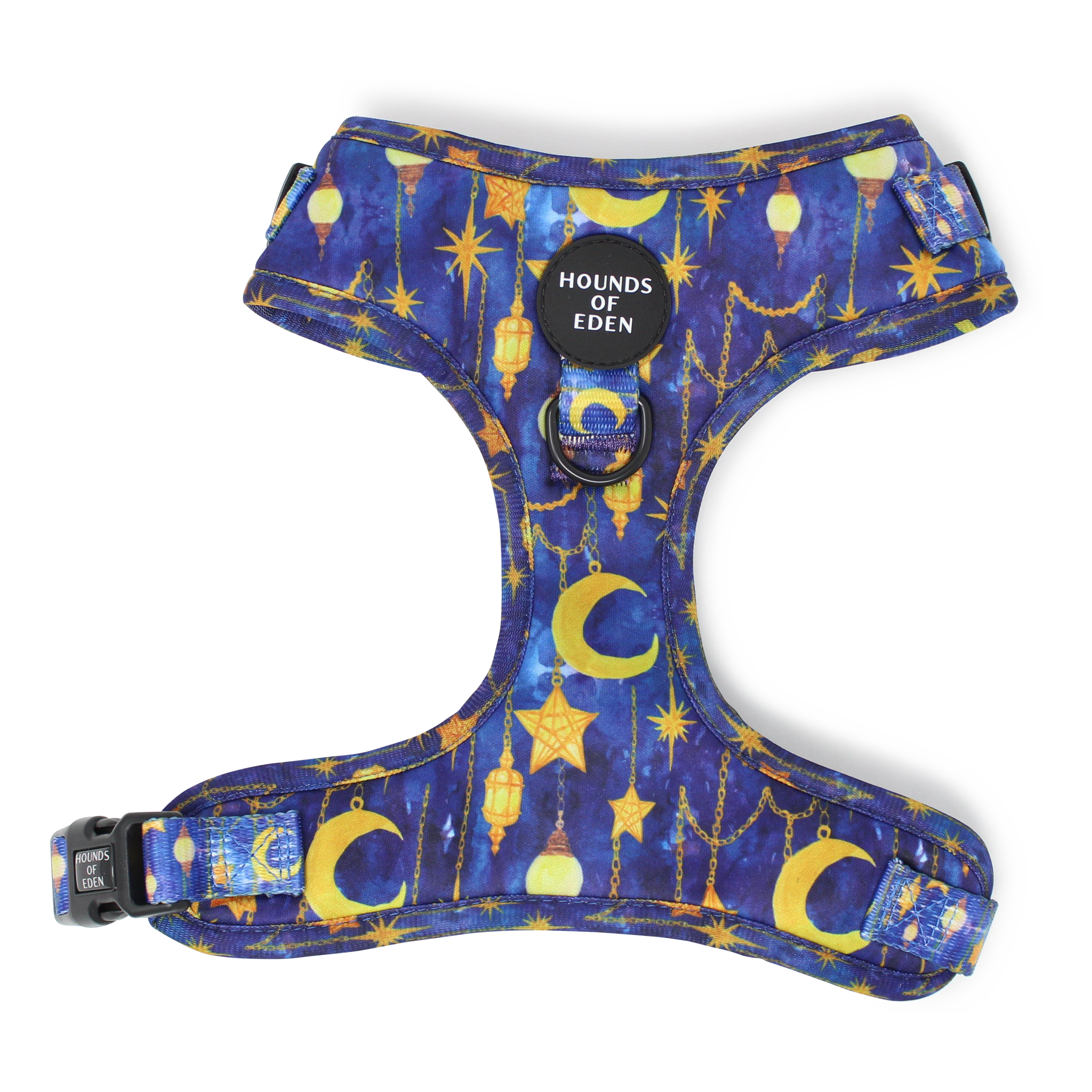 Arabian Nights - Blue and Gold Dog Harness