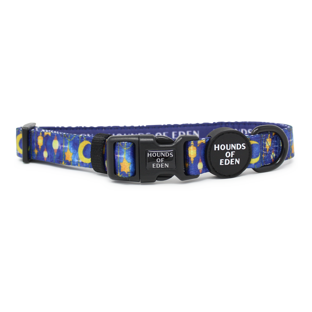 Arabian Nights - Blue and Gold Dog Collar