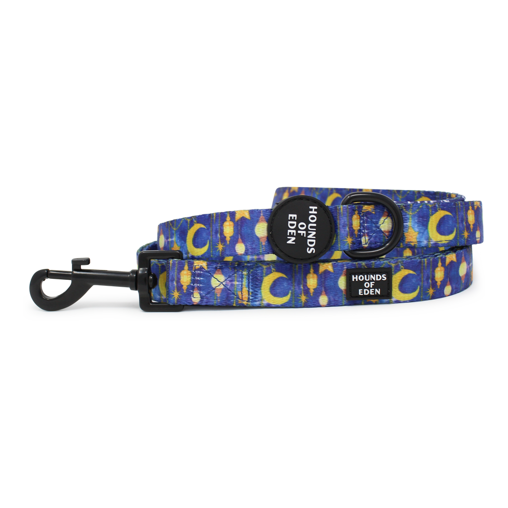 Arabian Nights - Blue and Gold Dog Collar