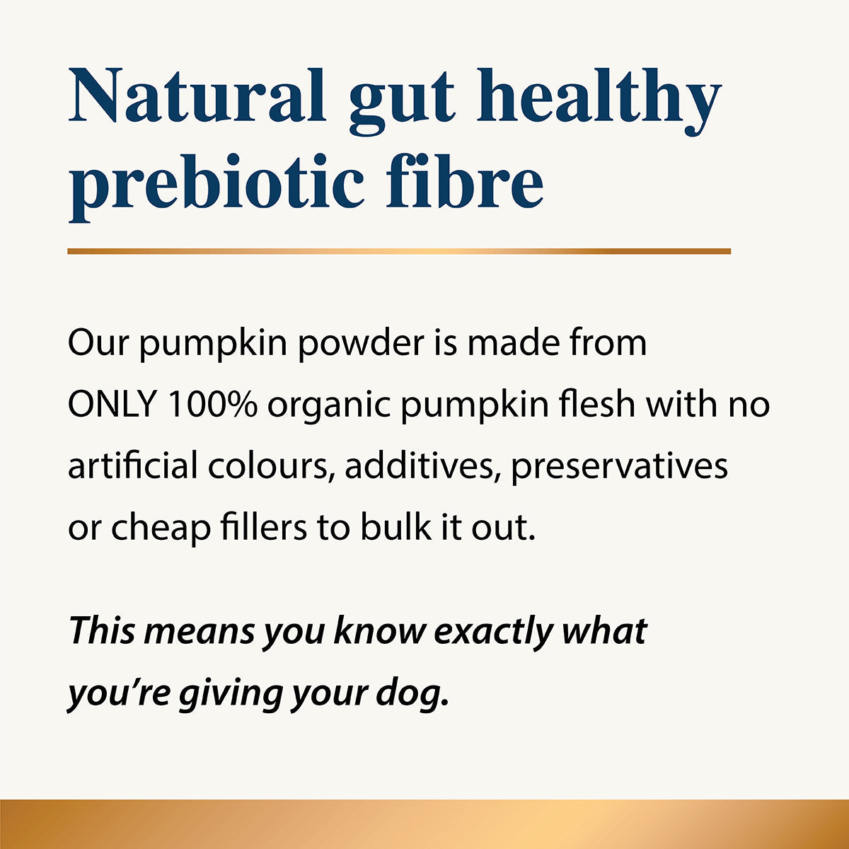 Text about natural gut healthy prebiotic fibre made from organic pumpkin powder with no additives.