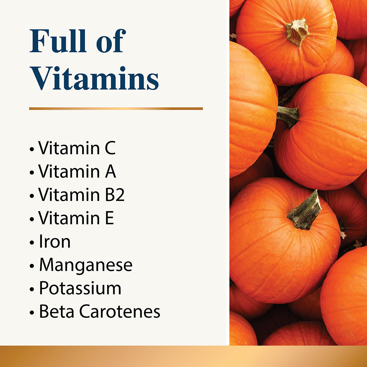 Pumpkins with a list of vitamins they contain on a white background