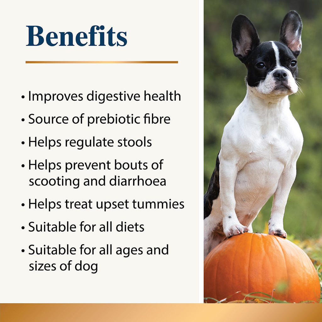 Dog standing on a pumpkin with text about dog food benefits