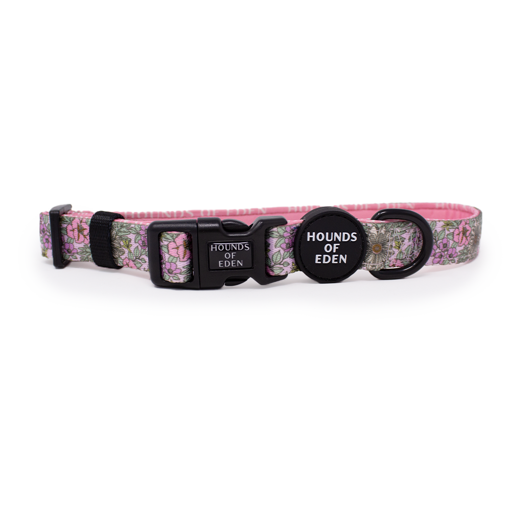 Wild Blossom - Design Dog Collar