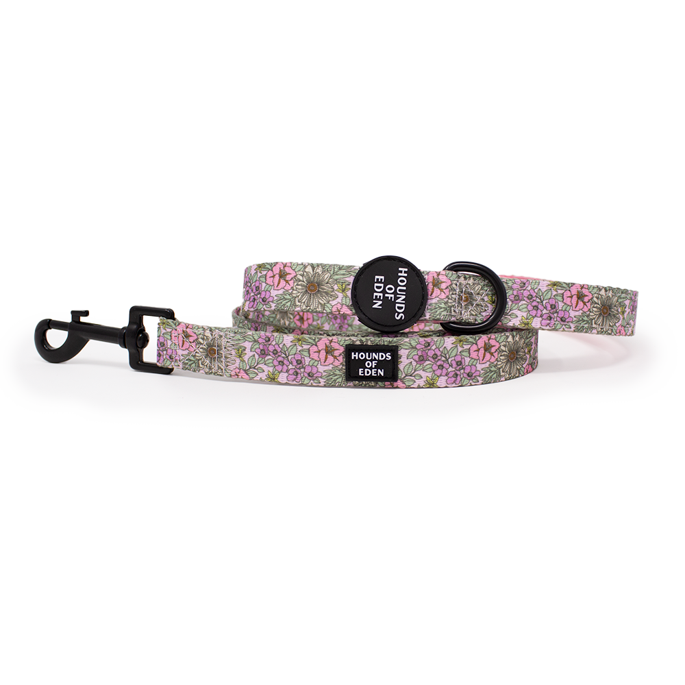 Wild Blossom - Design Dog Lead