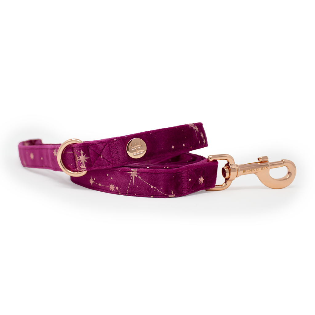 Magenta Sky Velvet Harness