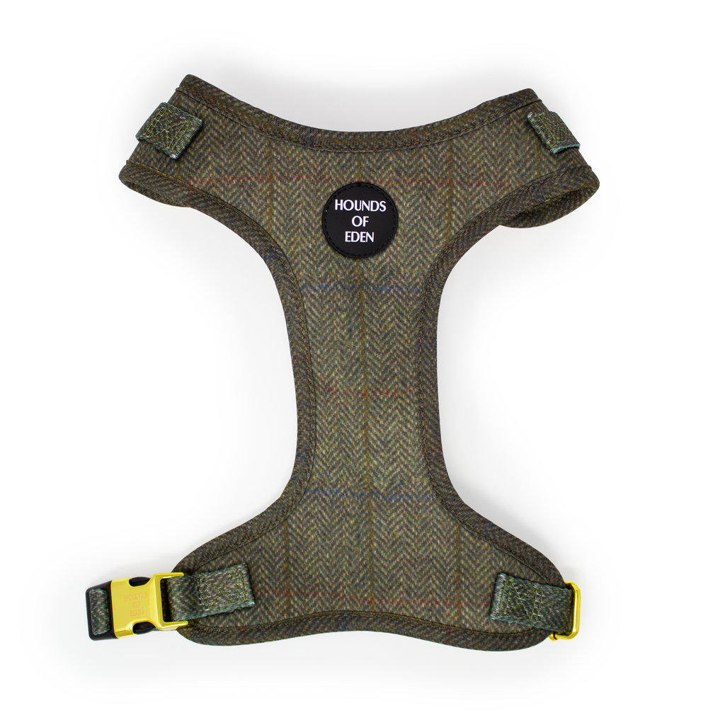 Max Tweed Effect Harness