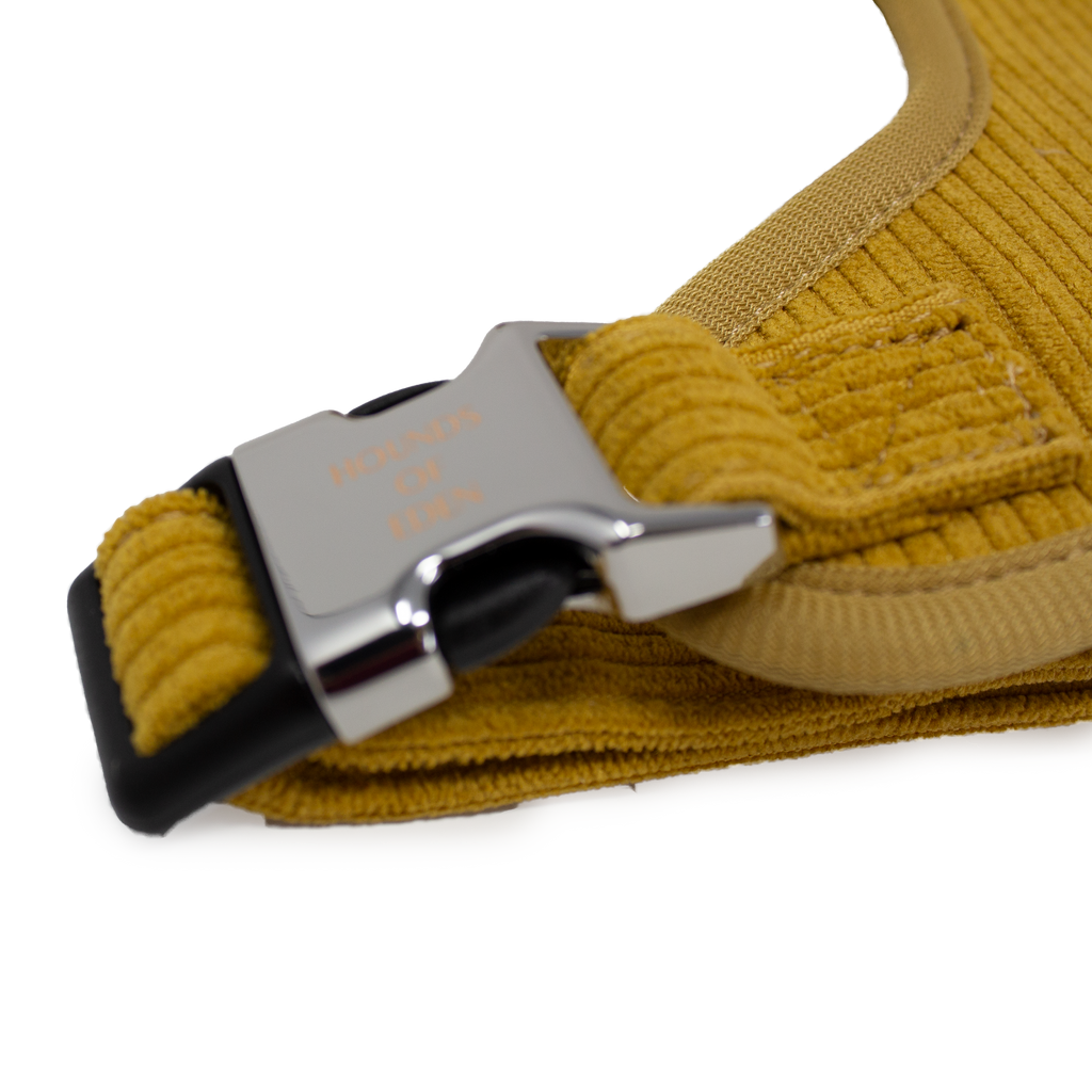 Mustard Yellow Corduroy Collar