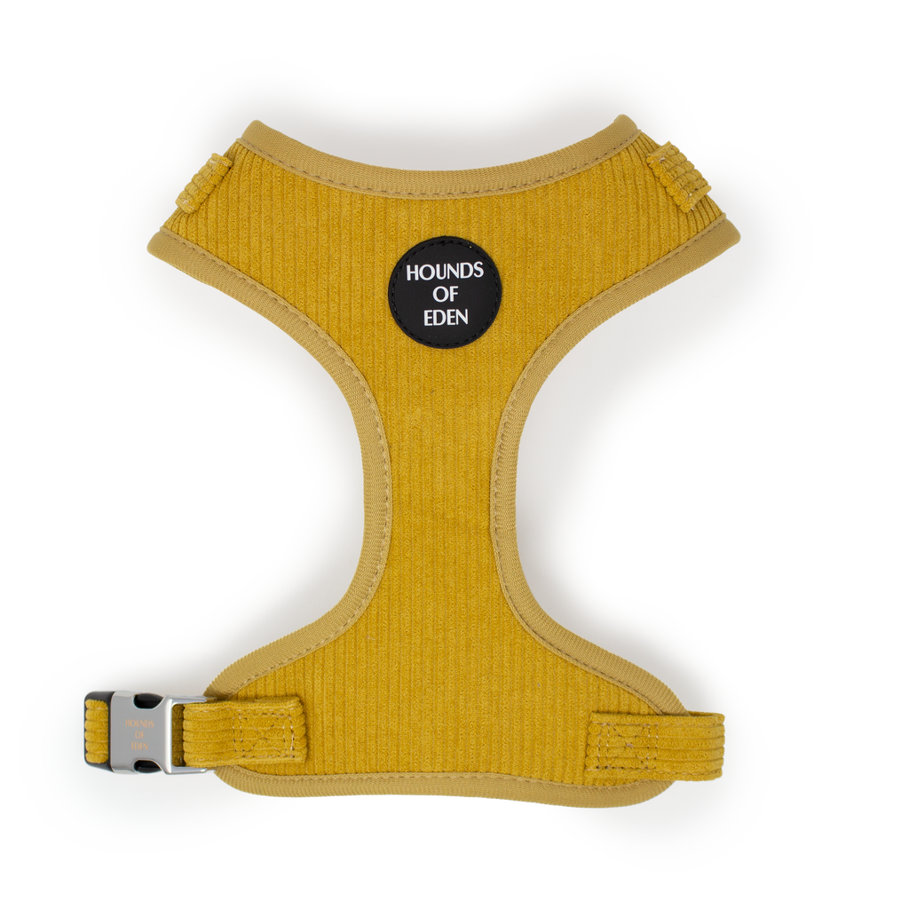 Mustard Yellow Corduroy Collar