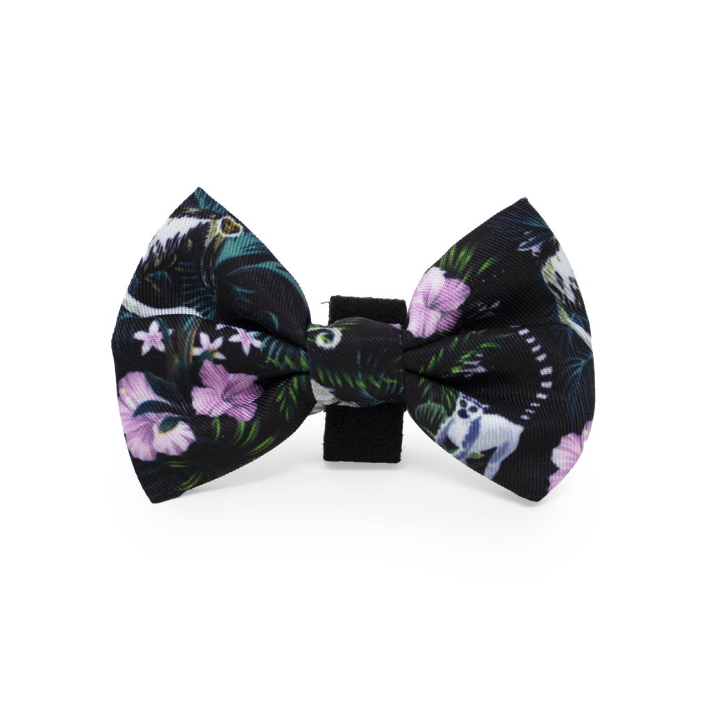 Midnight Madagascar Design Dog Bow Tie