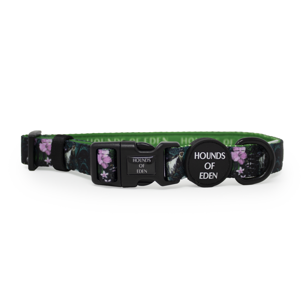 Midnight Madagascar Design Dog Collar