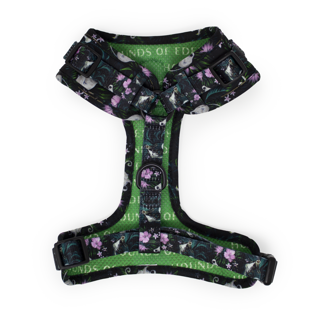 Midnight Madagascar Design Dog Collar
