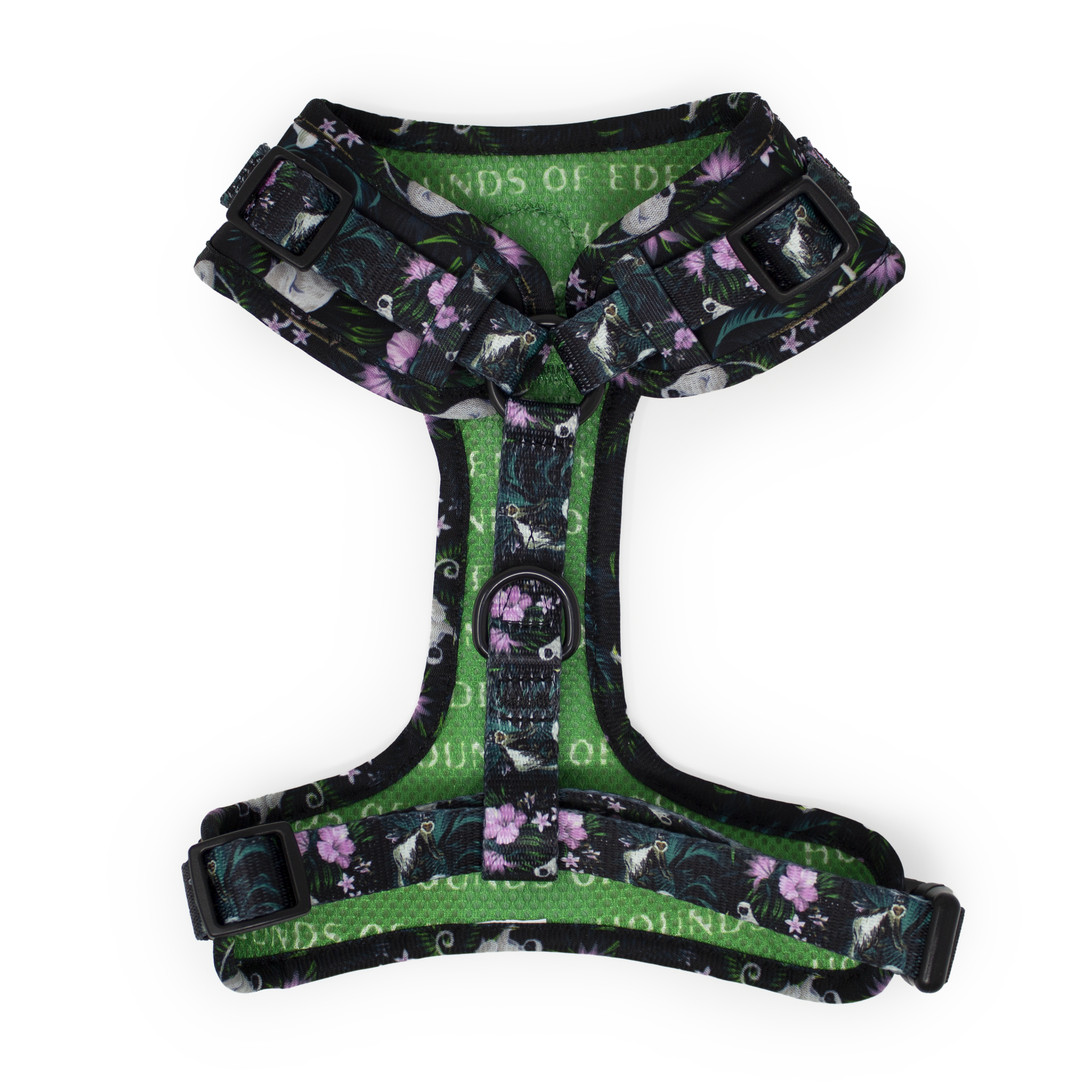 Midnight Madagascar Design Dog Collar