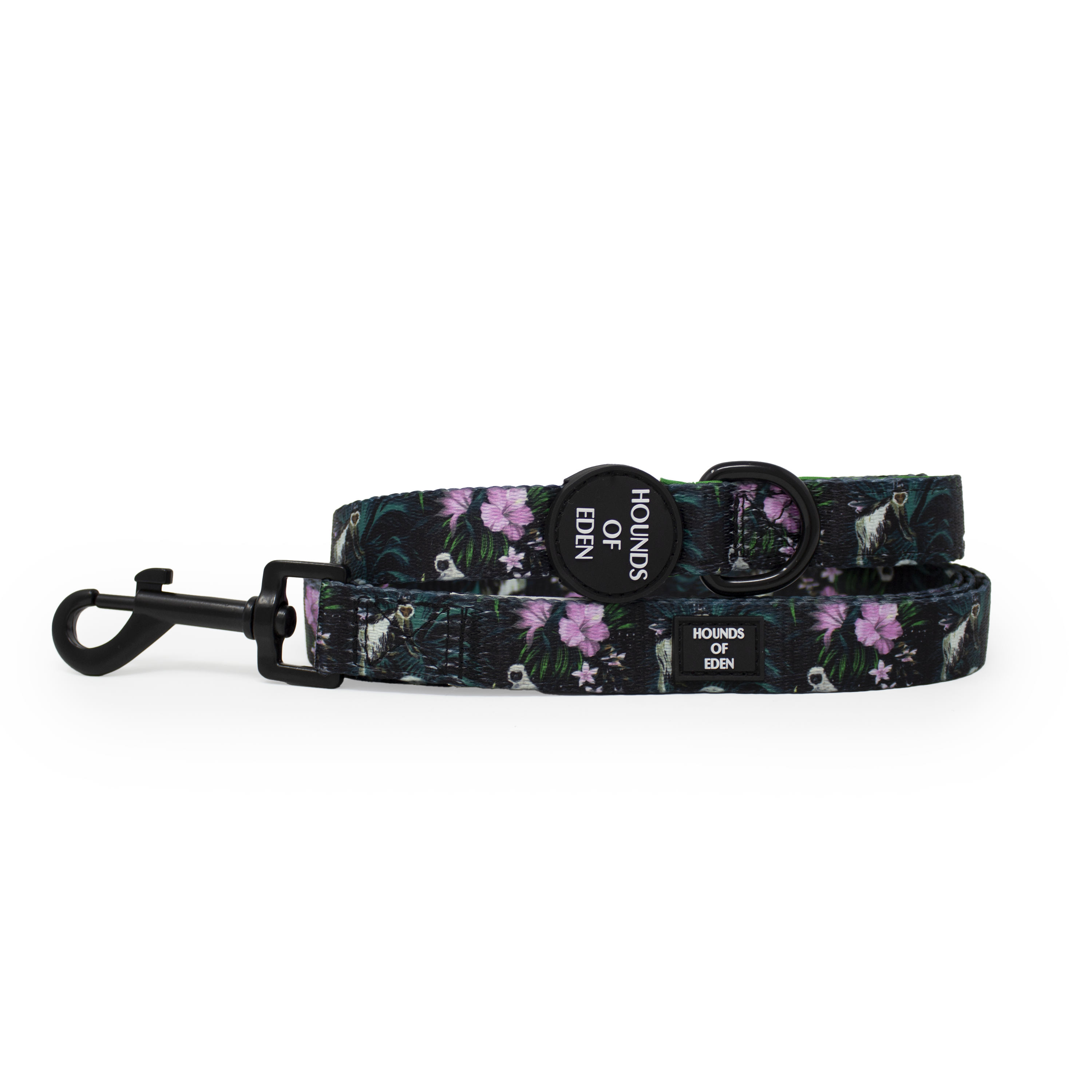 Midnight Madagascar Design Dog Collar