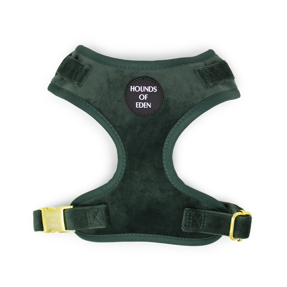 Olive Green Velvet Harness