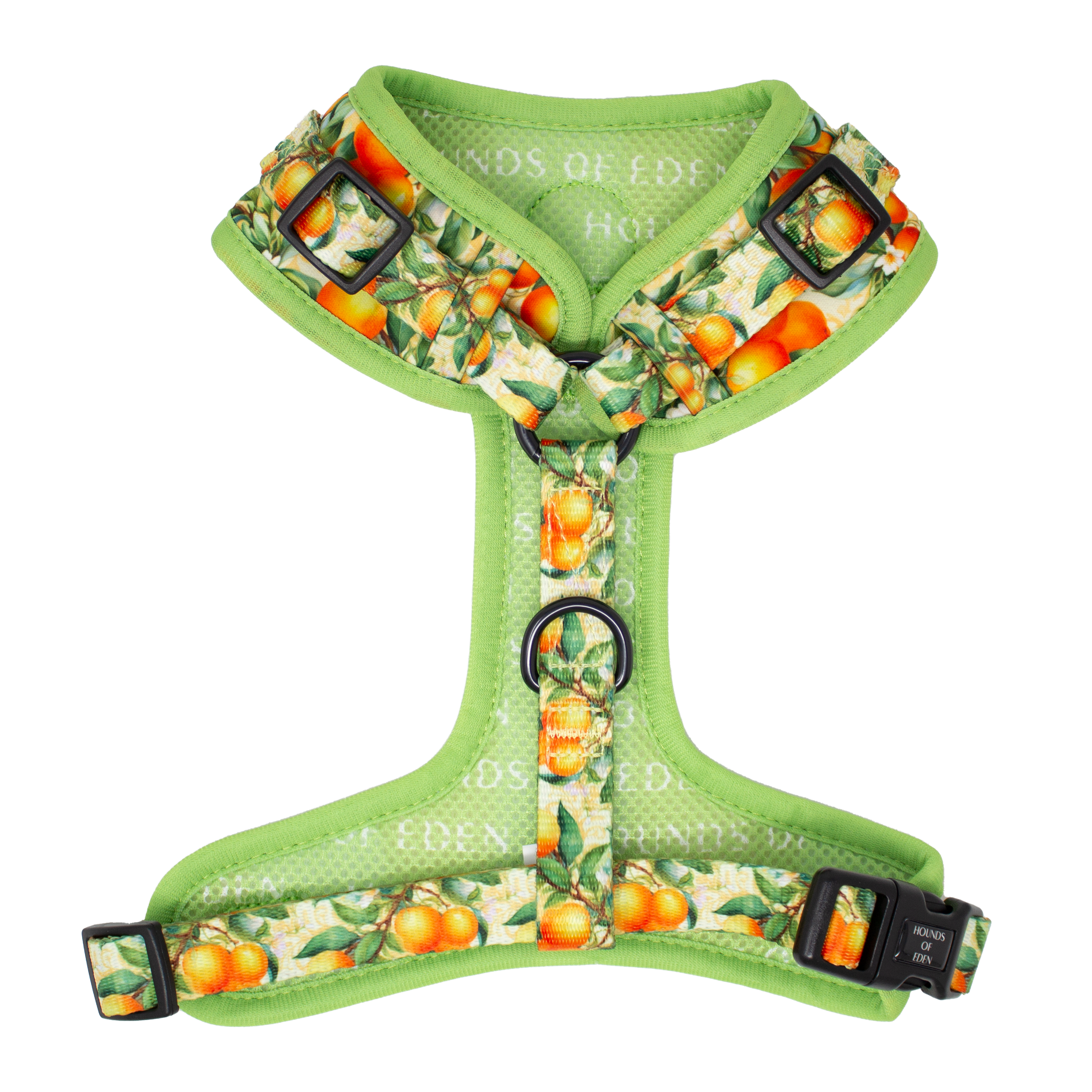 Simply the Zest - Oranges Dog Harness