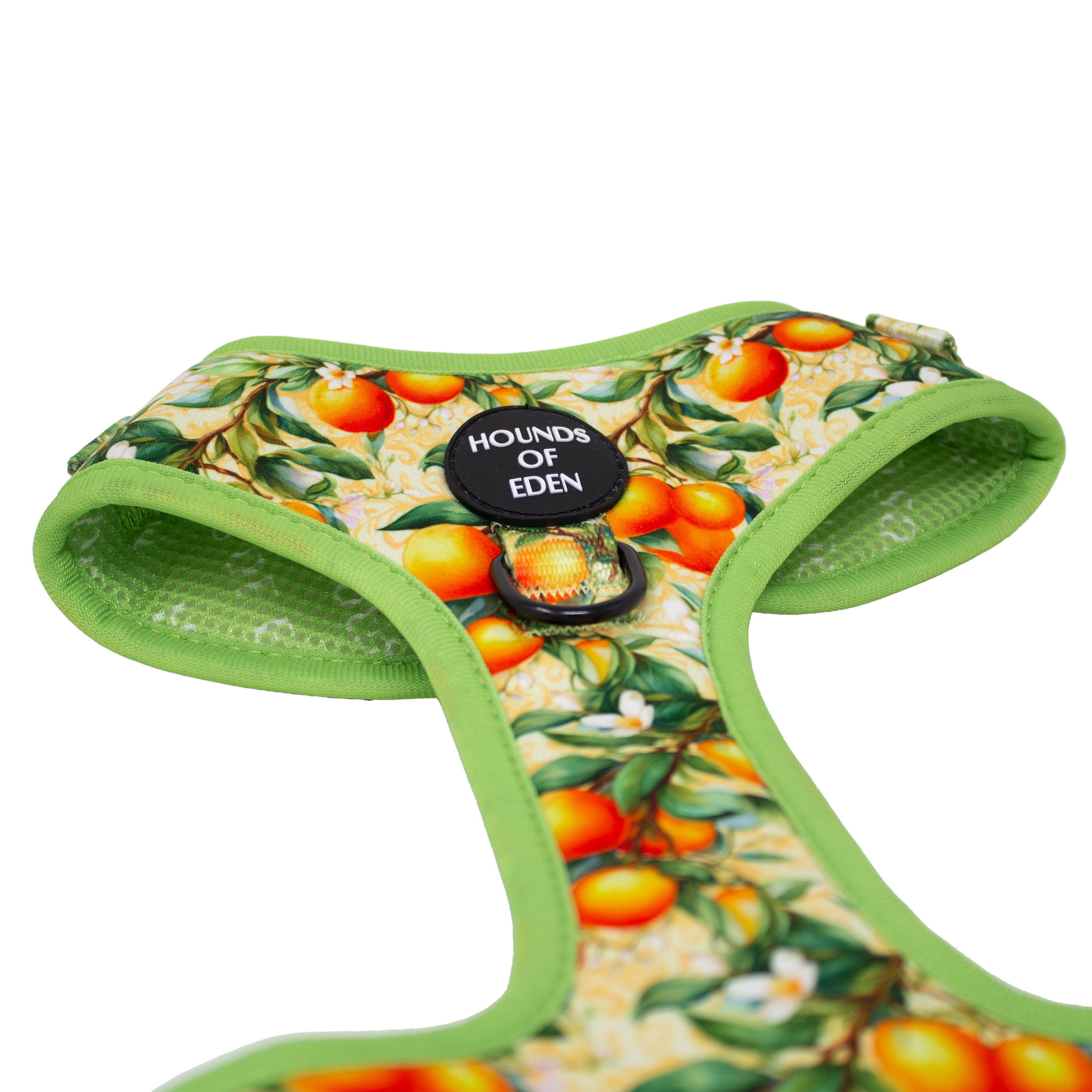 Simply the Zest - Oranges Dog Harness