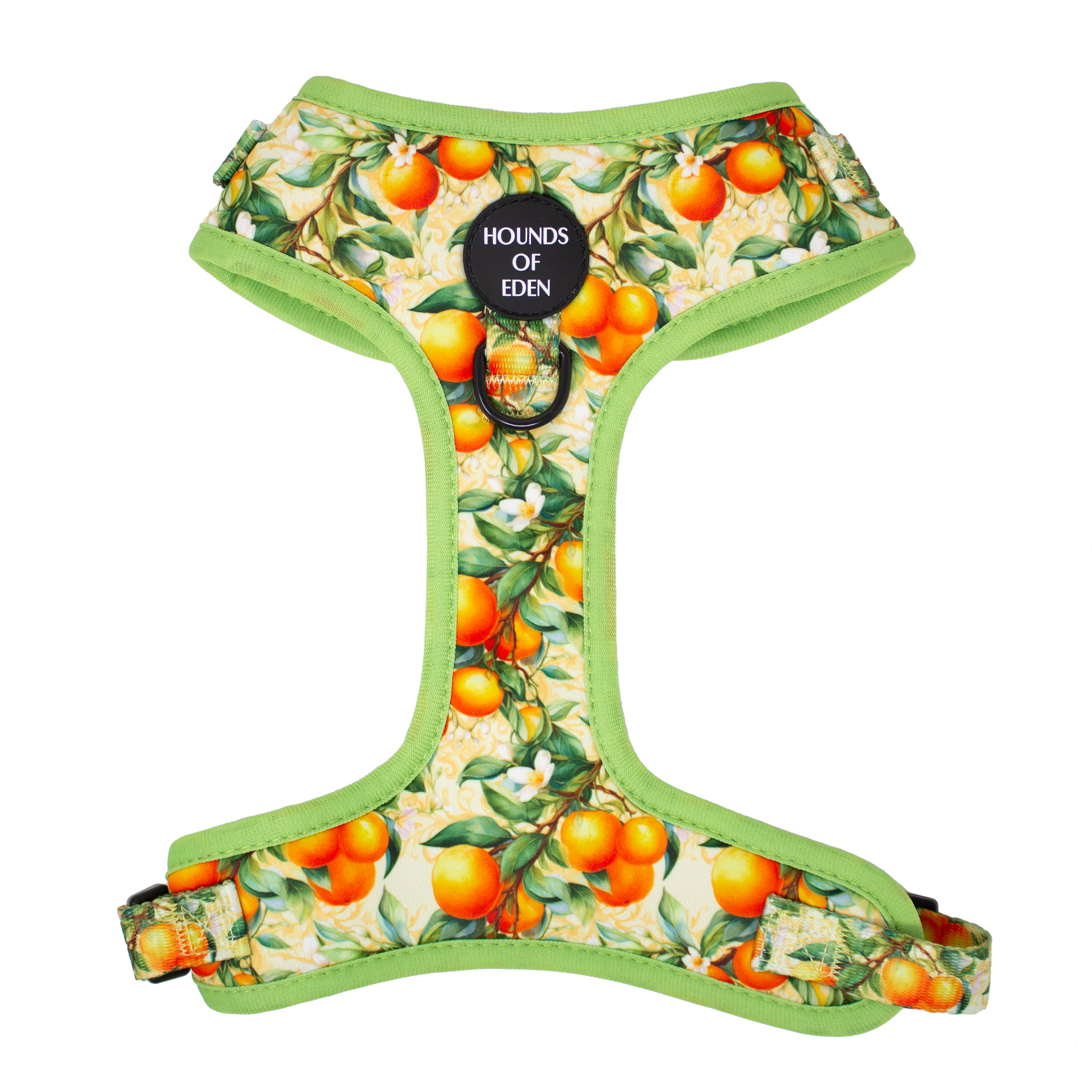 Simply the Zest - Oranges Dog Collar