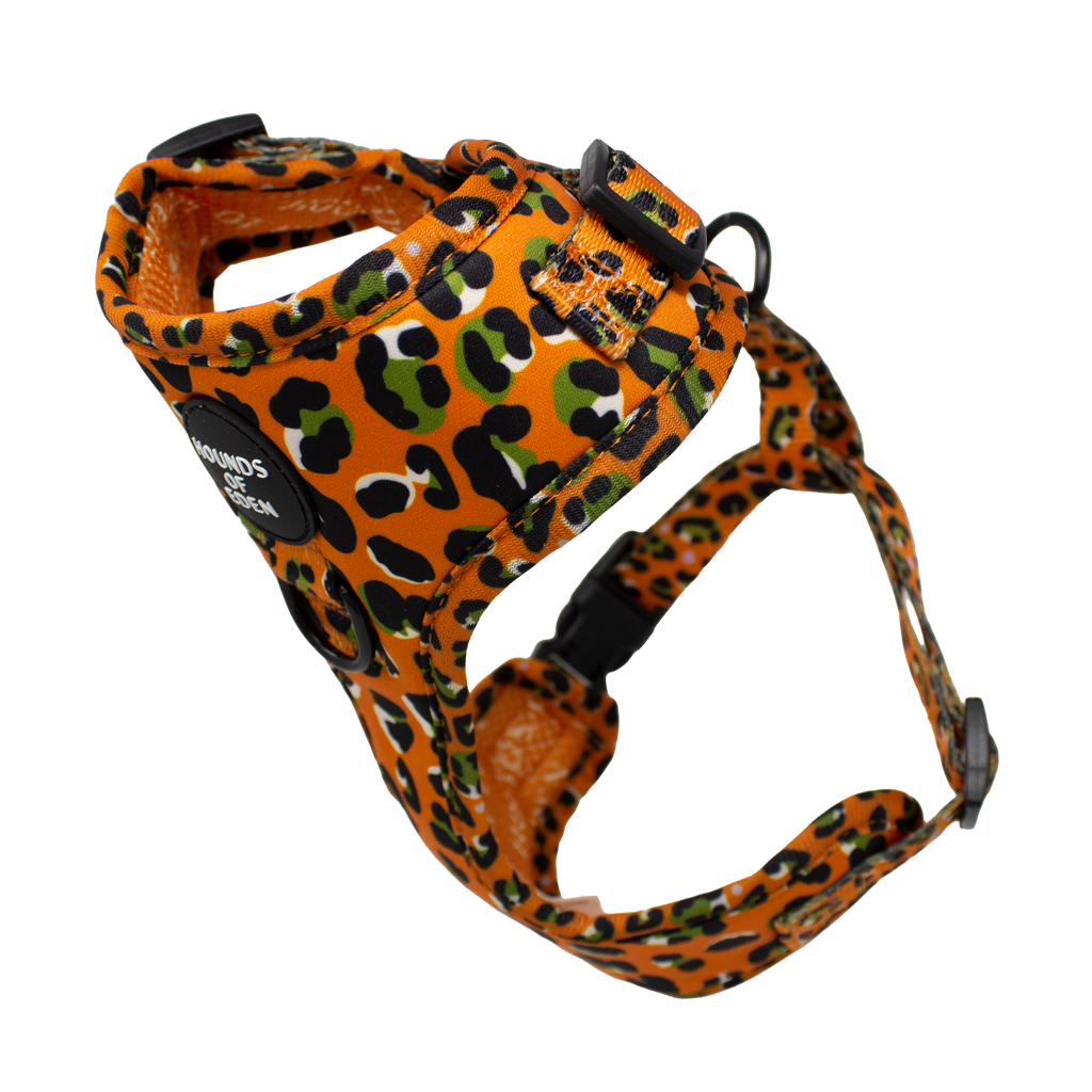 Burnt Orange Leopard Design Dog Collar