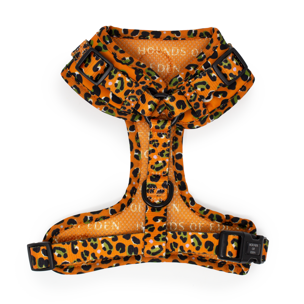 Burnt Orange Leopard Design Dog Harness