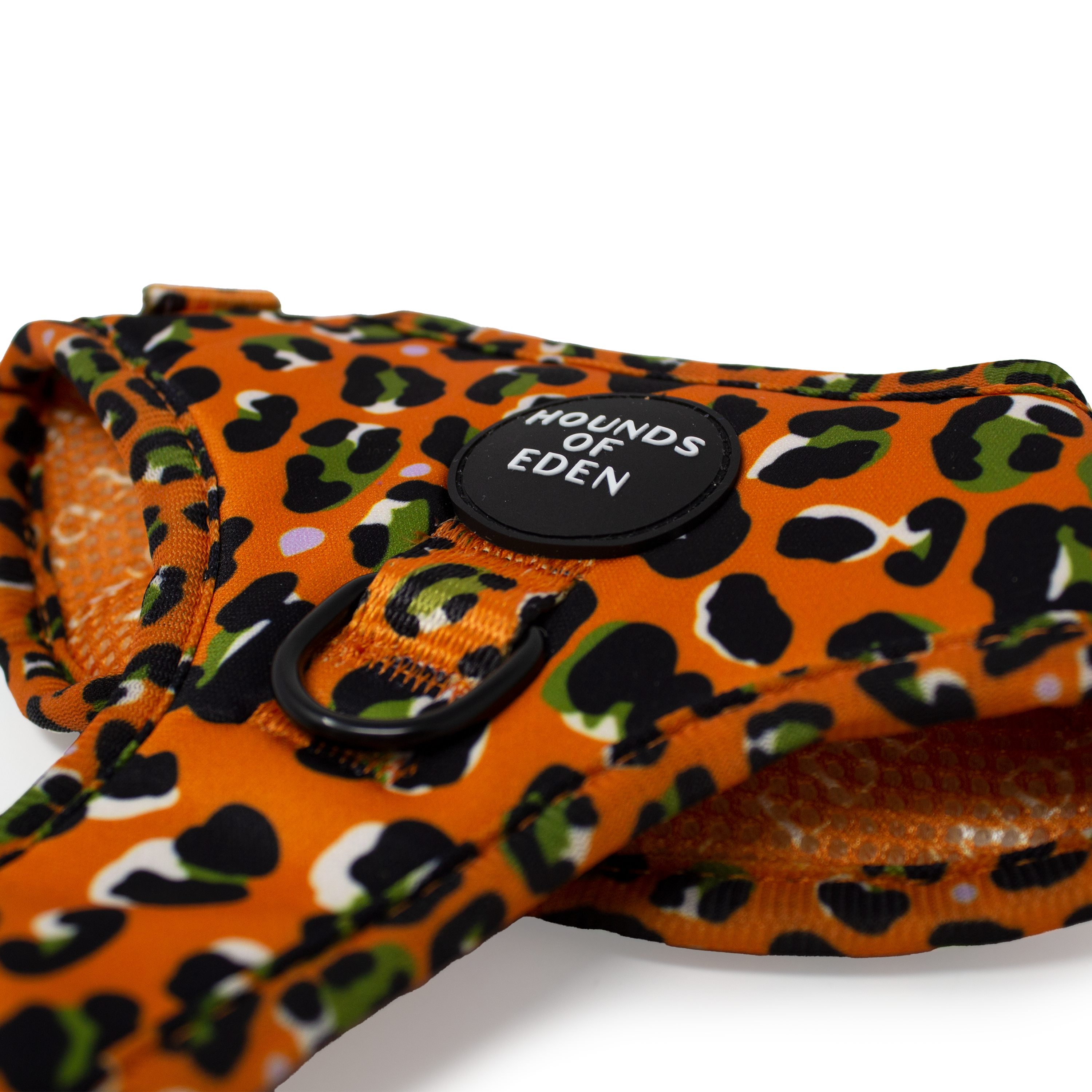 Burnt Orange Leopard Design Dog Collar