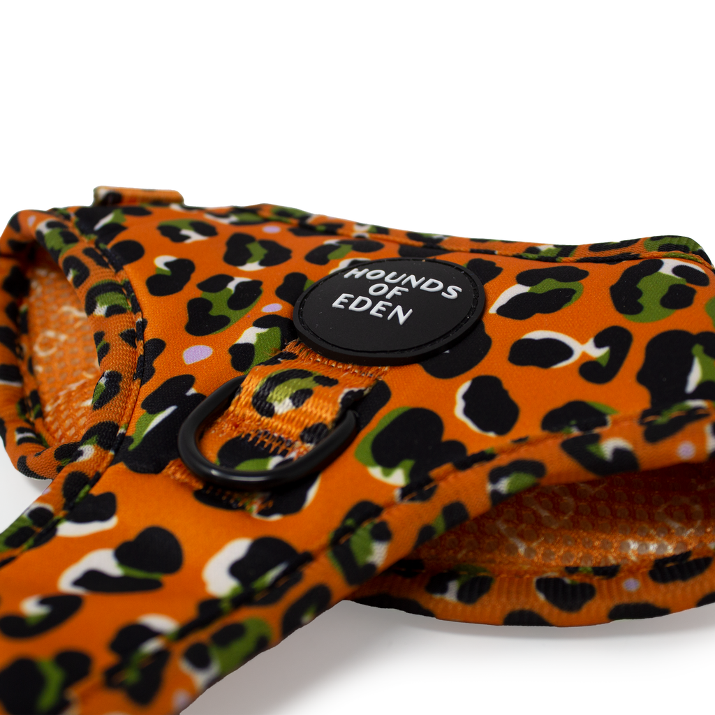 Burnt Orange Leopard Design Dog Harness