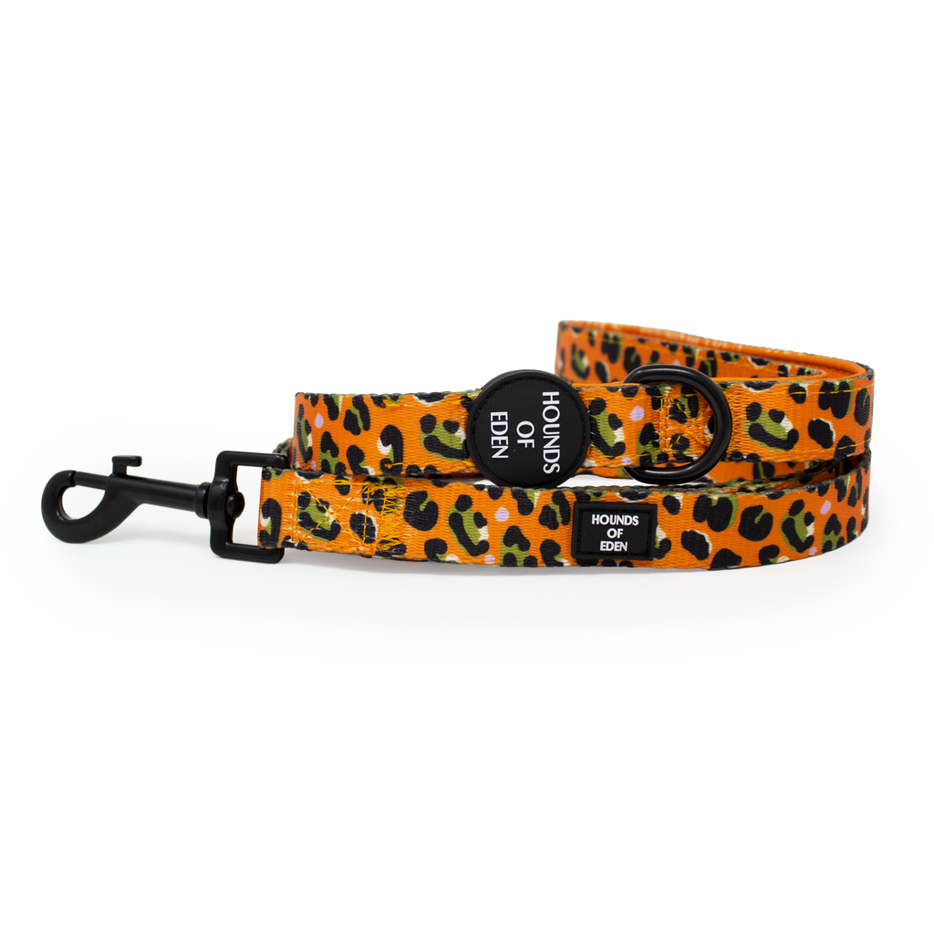 Burnt Orange Leopard Design Dog Collar