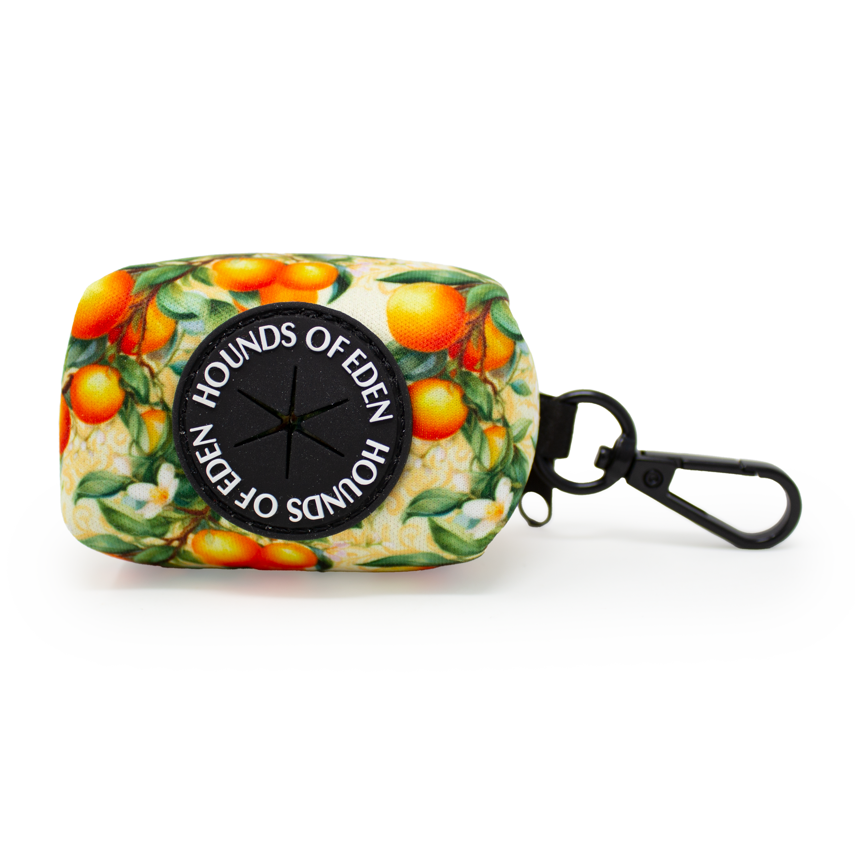 Simply the Zest - Oranges Dog Collar