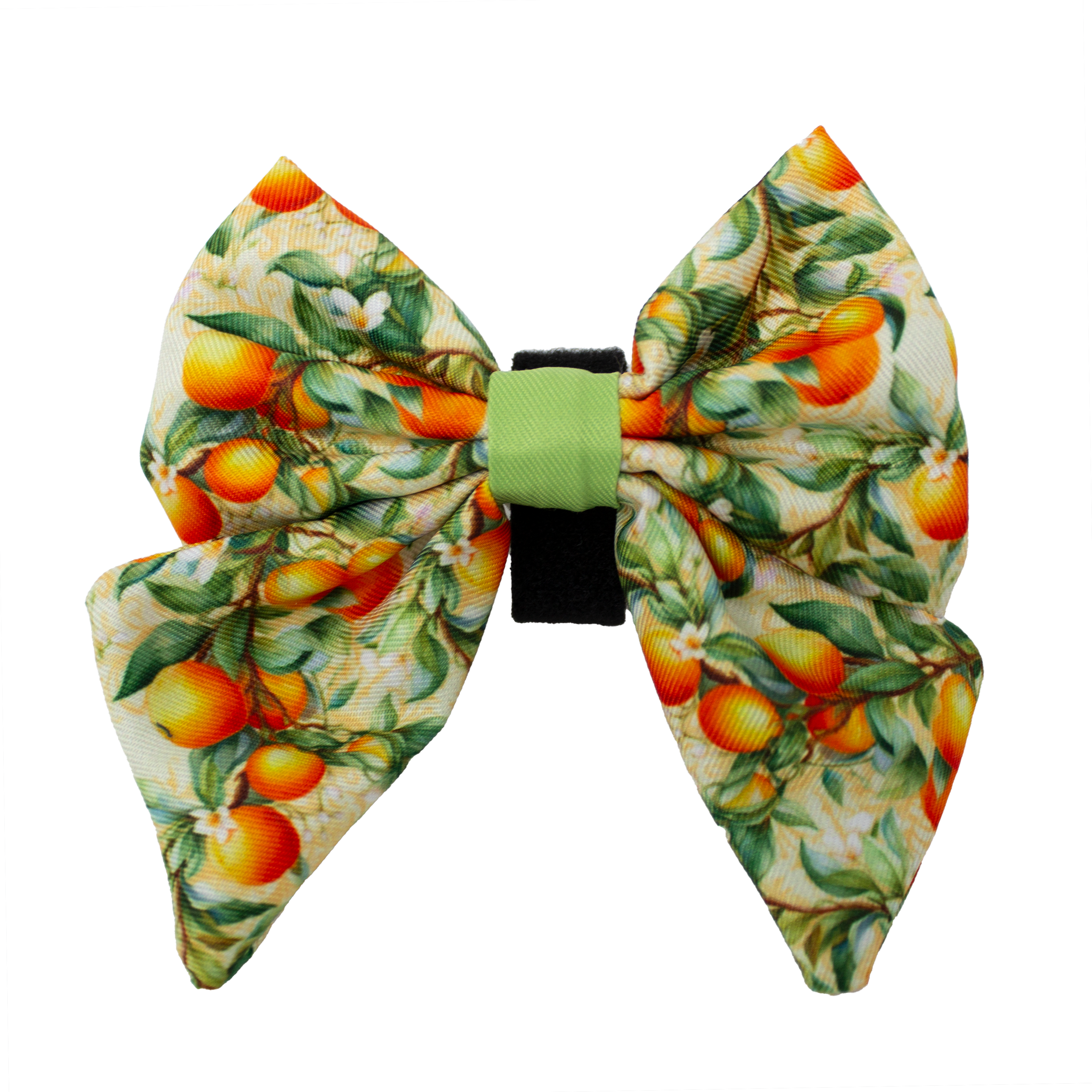 Simply the Zest - Oranges Dog Collar