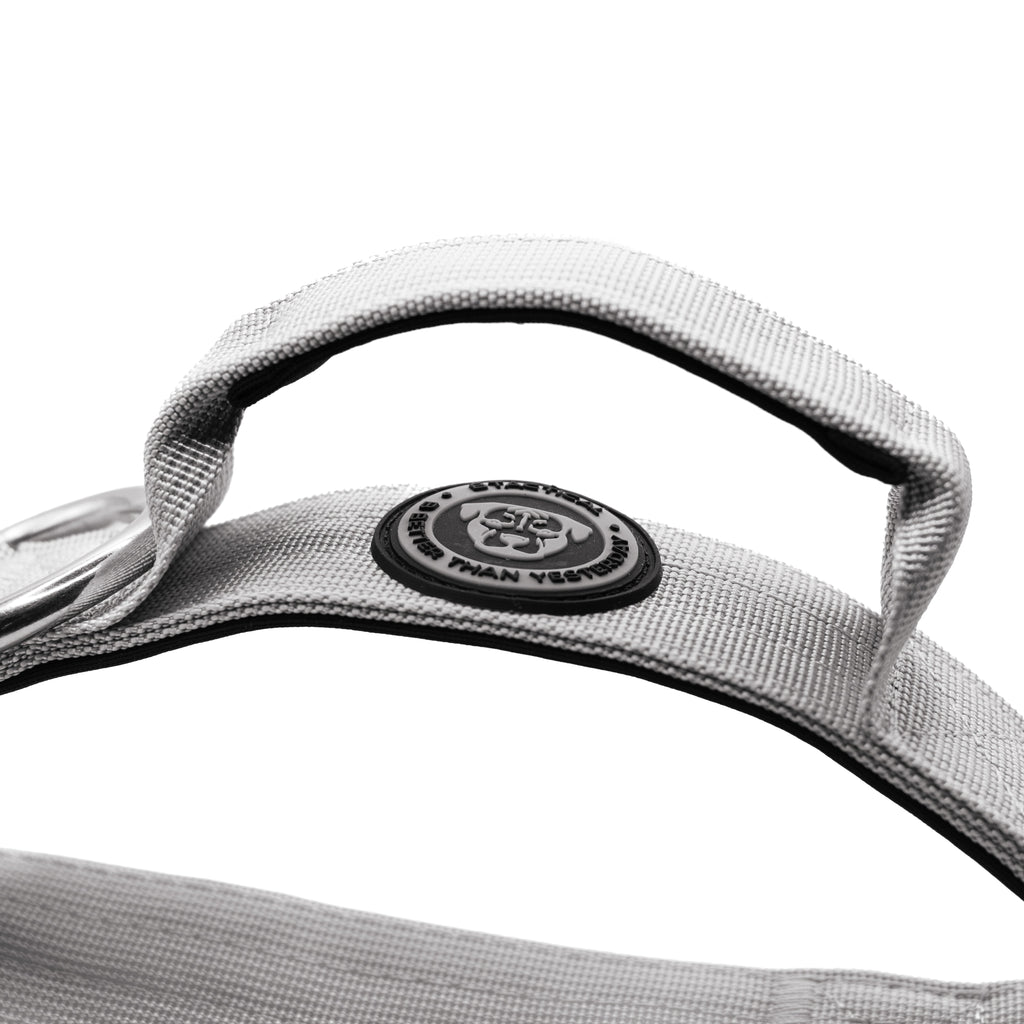 4cm Nylon BTactical™ Collar | Misty Grey