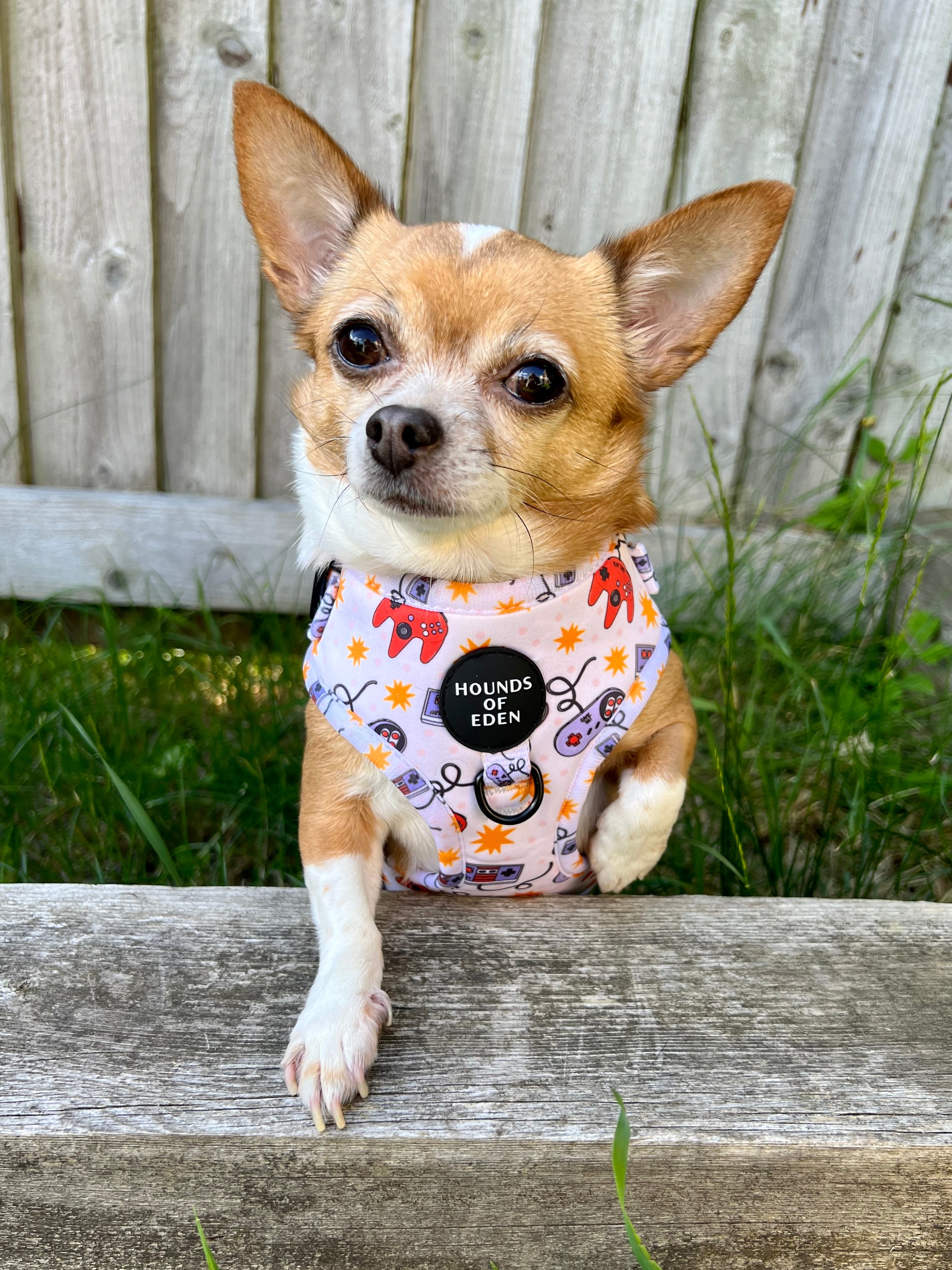 Nintendawg Design Dog Harness