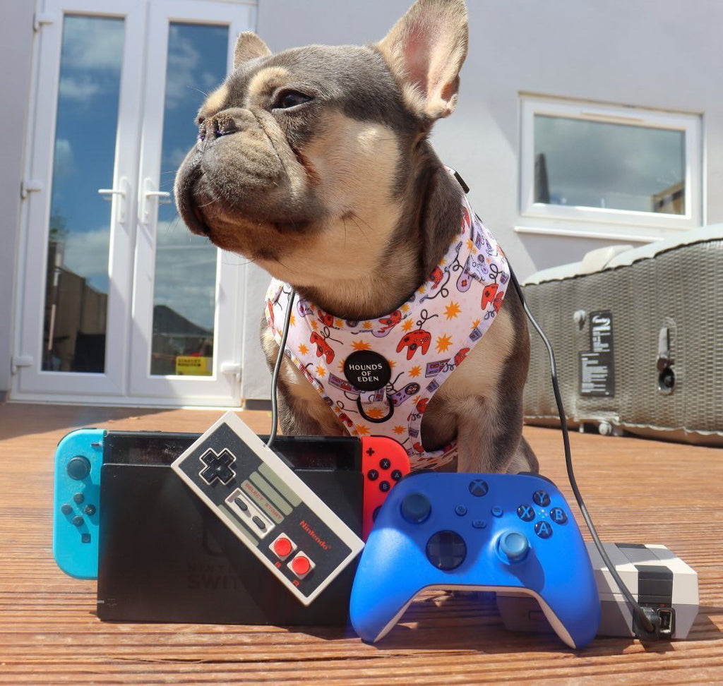 Nintendawg Design Dog Collar