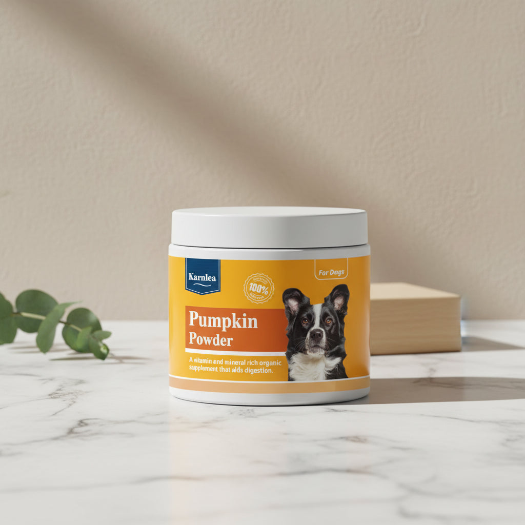 Karnlea pumpkin powder container for dogs on a marble surface with a beige wall background