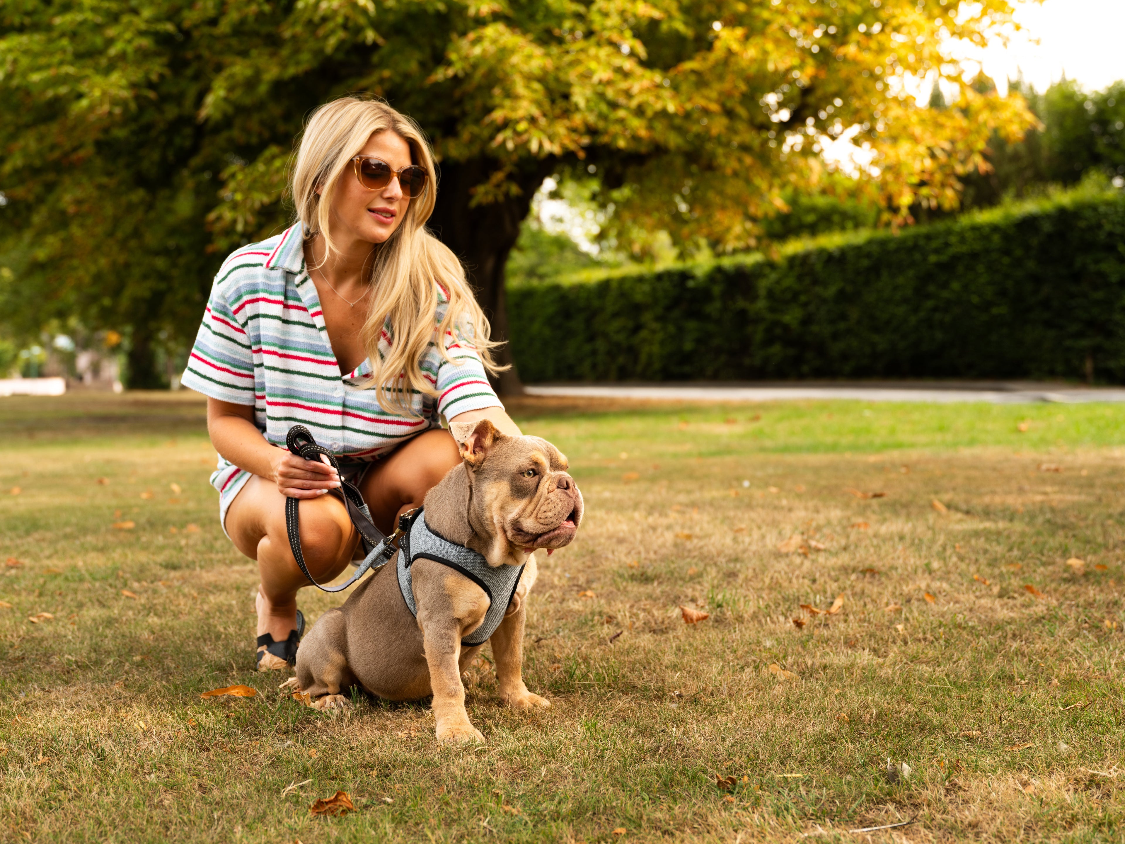 Soho Poms x Bowl & Bone Republic Mayfair Harness - Ocean