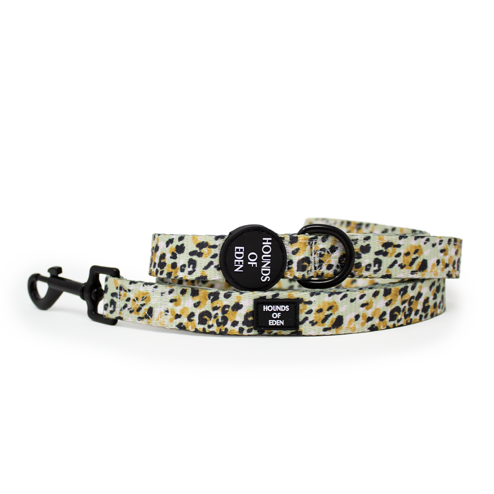 Sage Leopard Design Dog Harness