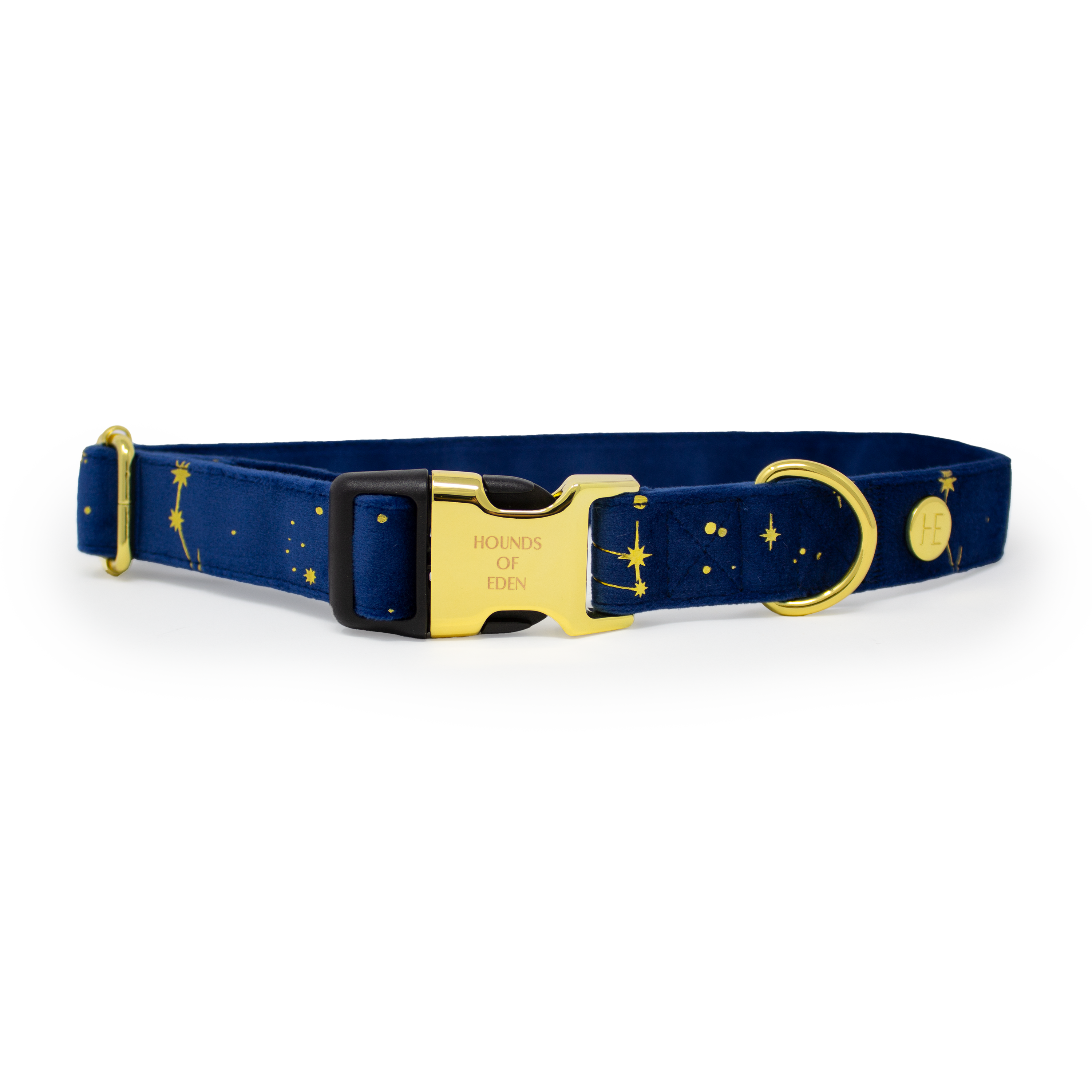 Sapphire Stars Velvet Collar