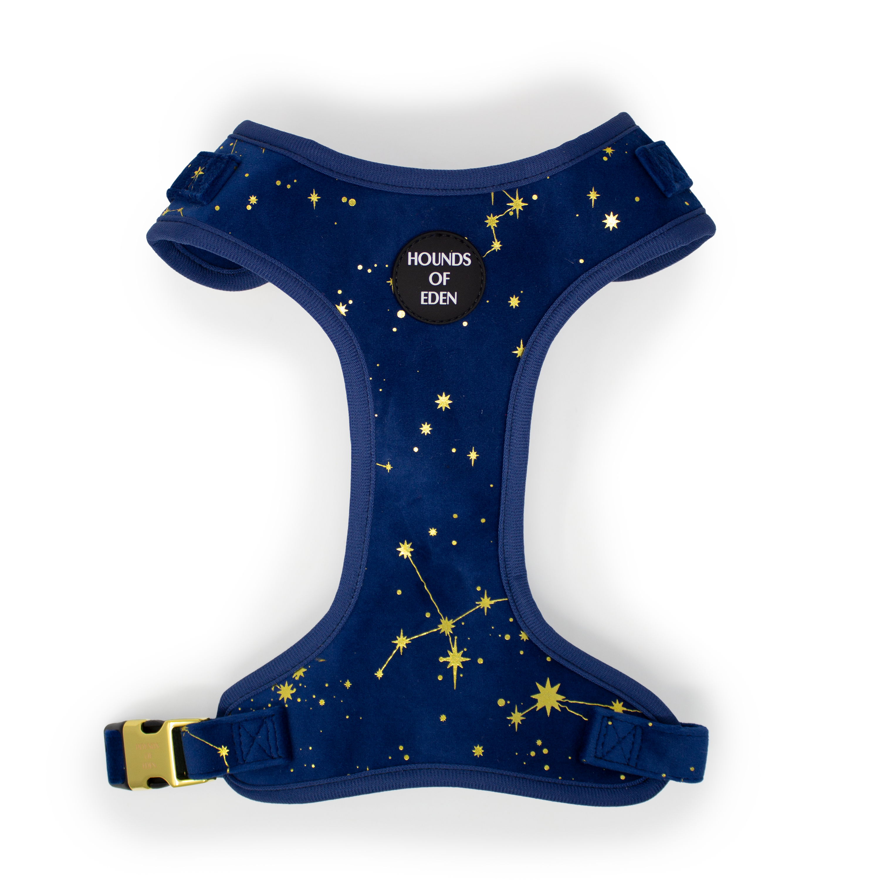 Sapphire Stars Velvet Collar