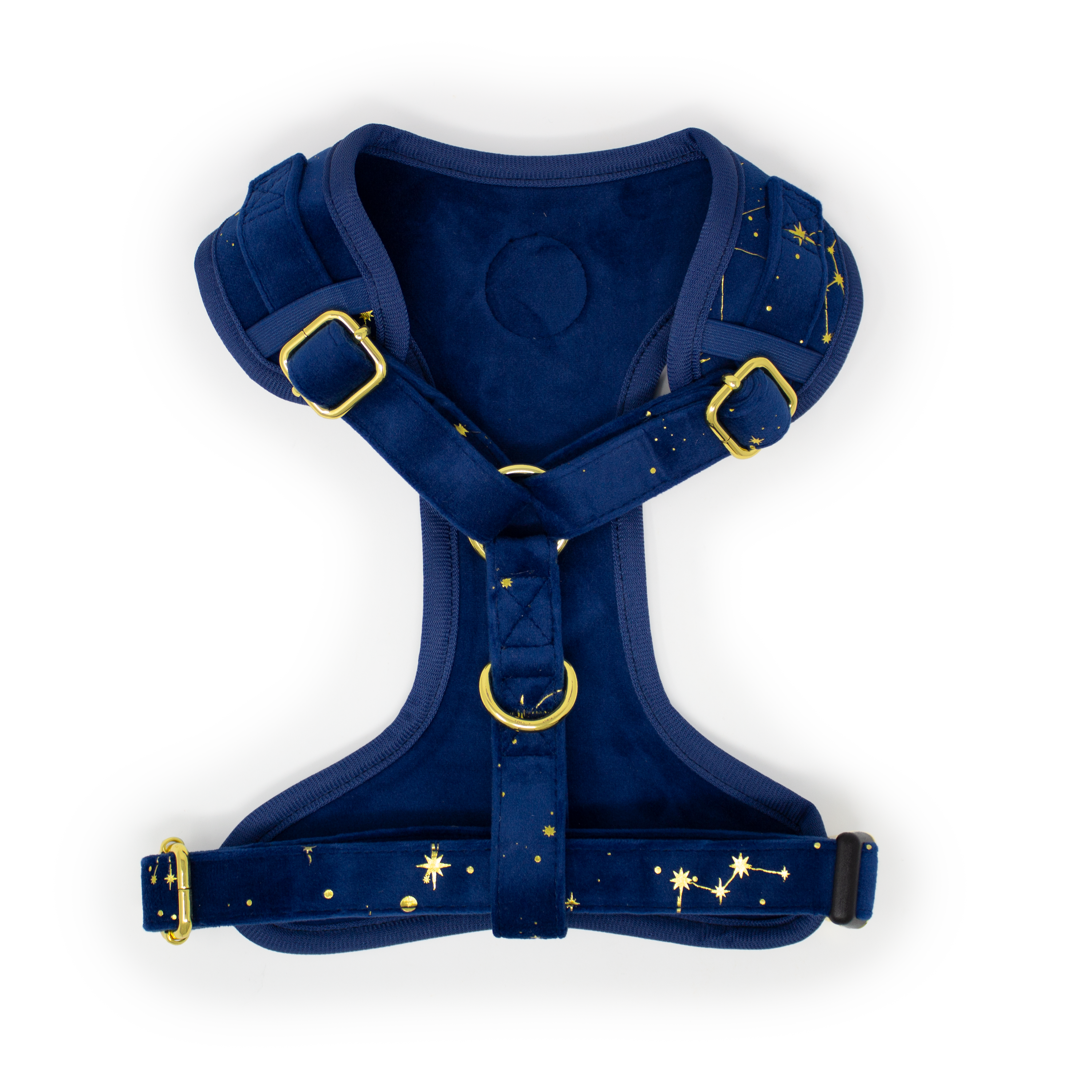 Sapphire Stars Velvet Collar