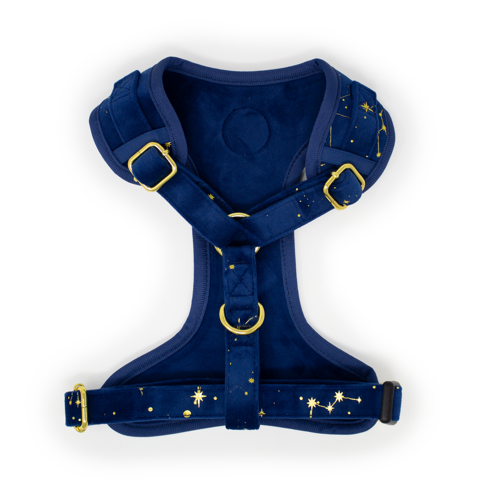 Sapphire Stars Velvet Harness