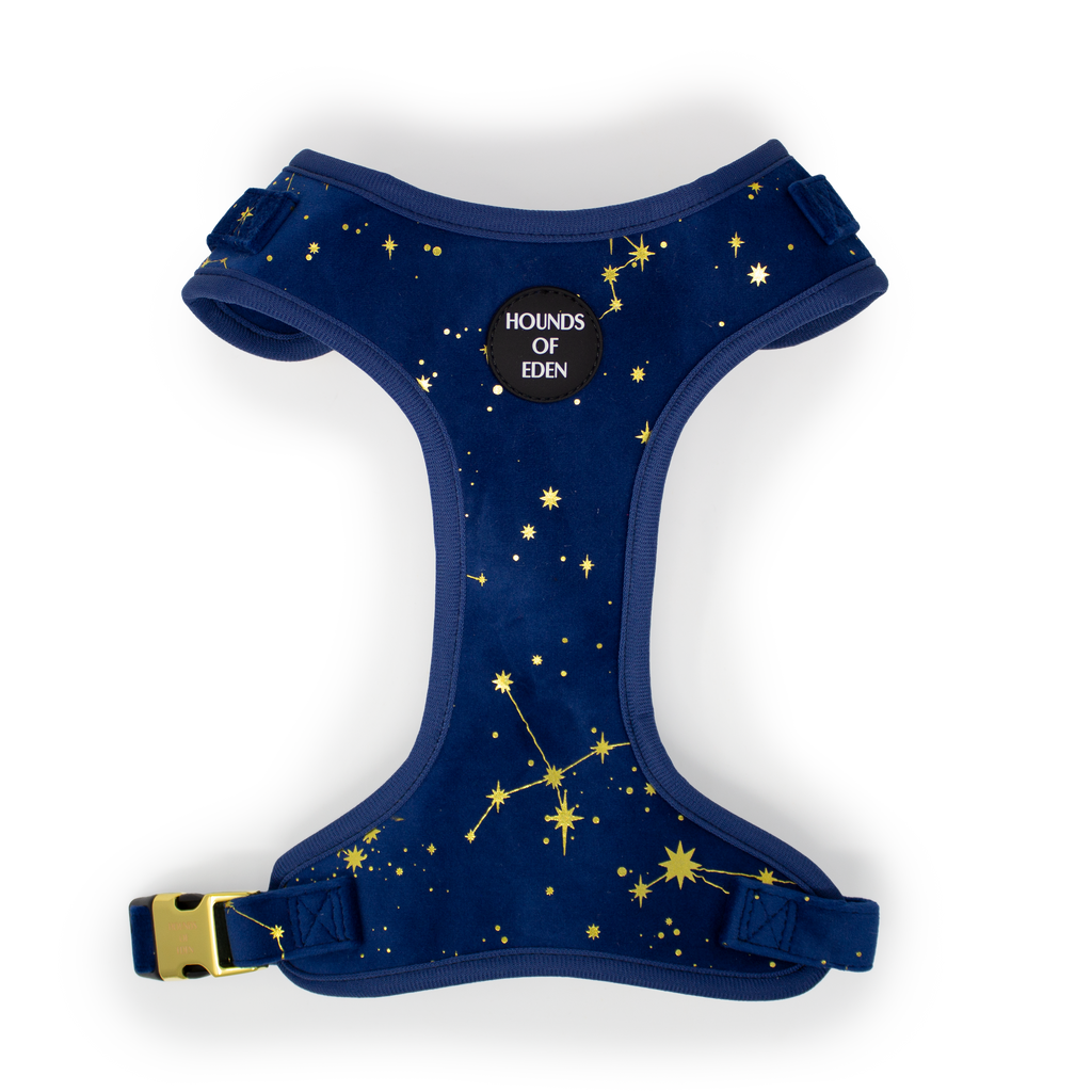 Sapphire Stars Velvet Harness