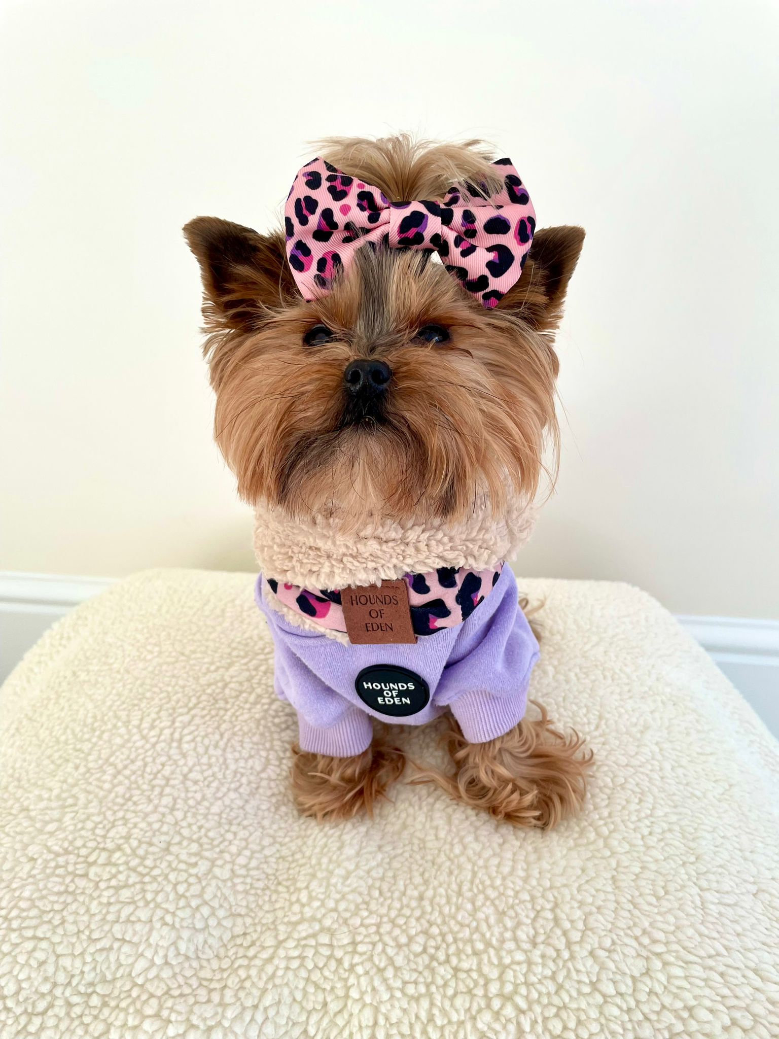 Dog Hoodie - Olive Green