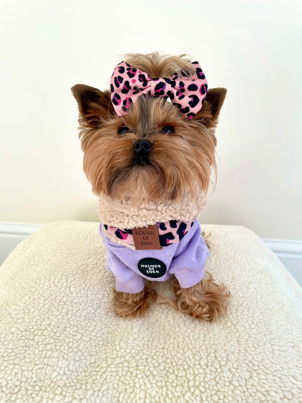 Dog Hoodie - Sky Blue