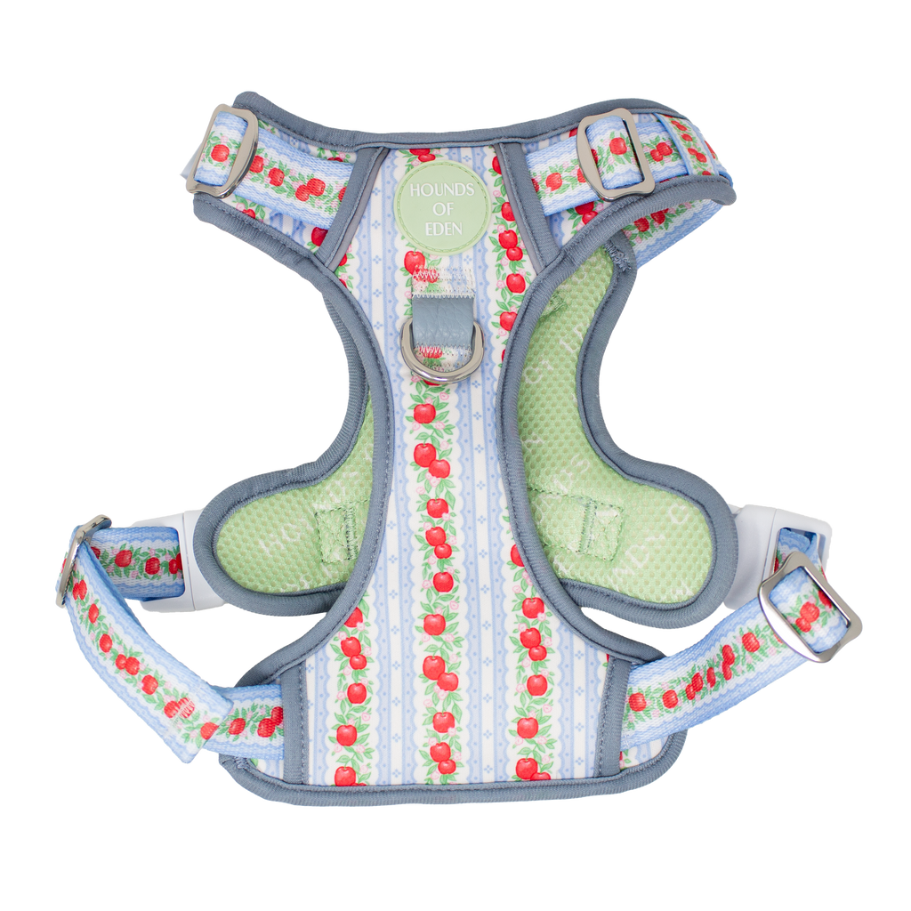 Dog harness with cherry pattern on a white background