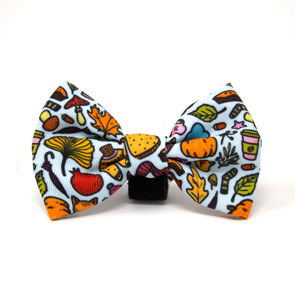 Country Pupkin - Autumnal Doodle Dog Collar