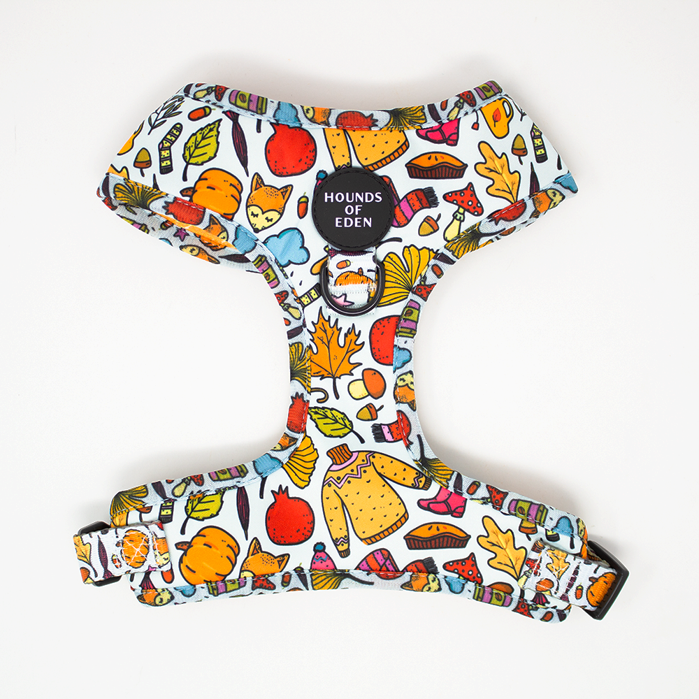 Country Pupkin - Autumnal Doodle Dog Collar