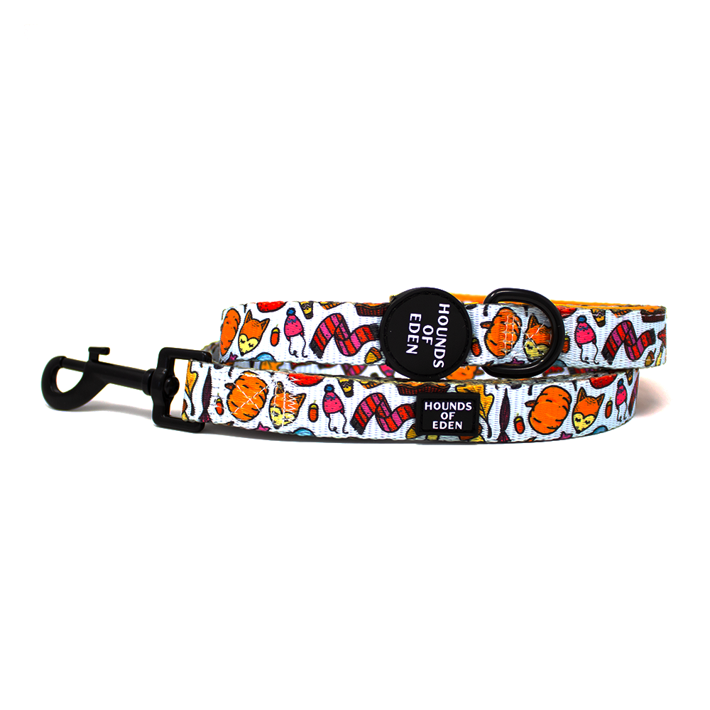 Country Pupkin - Autumnal Doodle Dog Collar