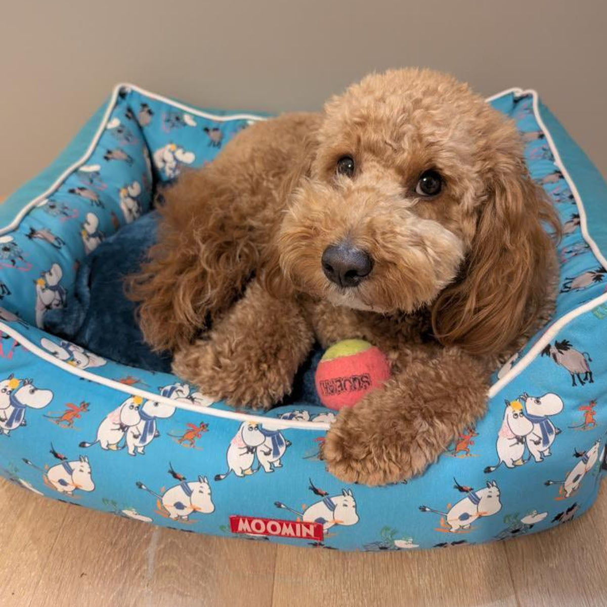 Moomins Blue Ski Holidays Bed by SohoPoms