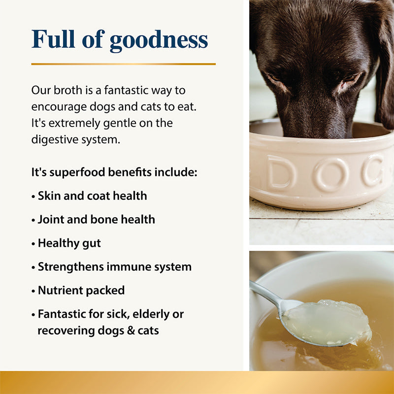 Beef Bone Broth for Dogs & Cats