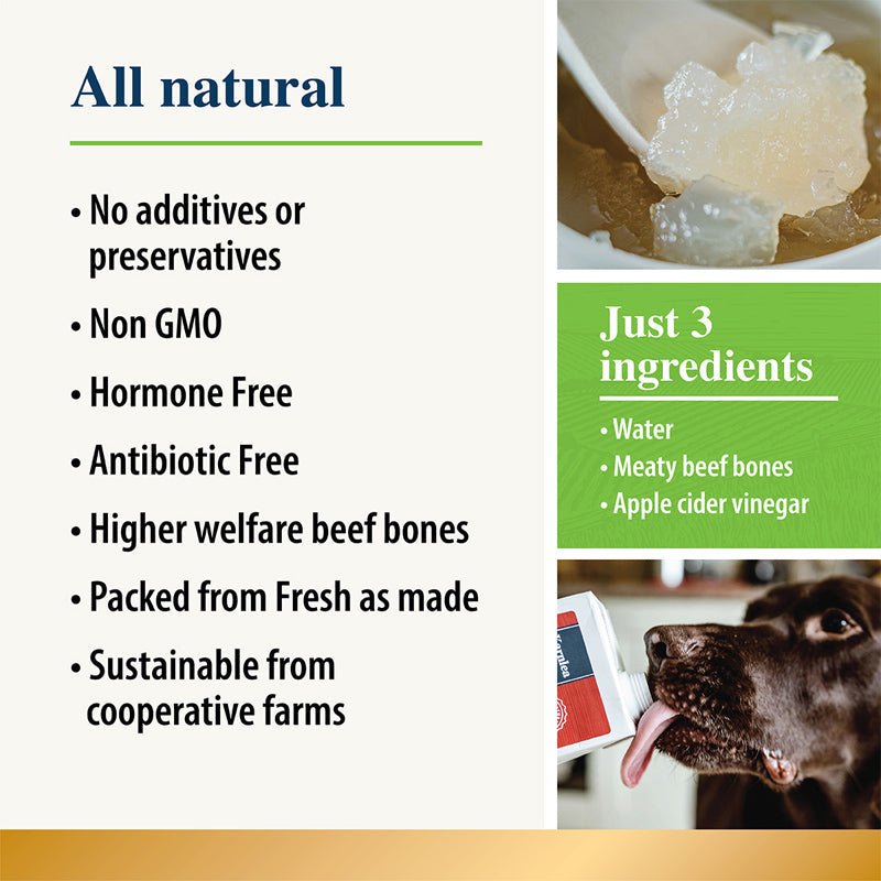 Beef Bone Broth for Dogs & Cats
