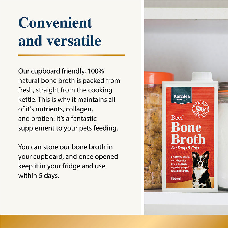 Beef Bone Broth for Dogs & Cats